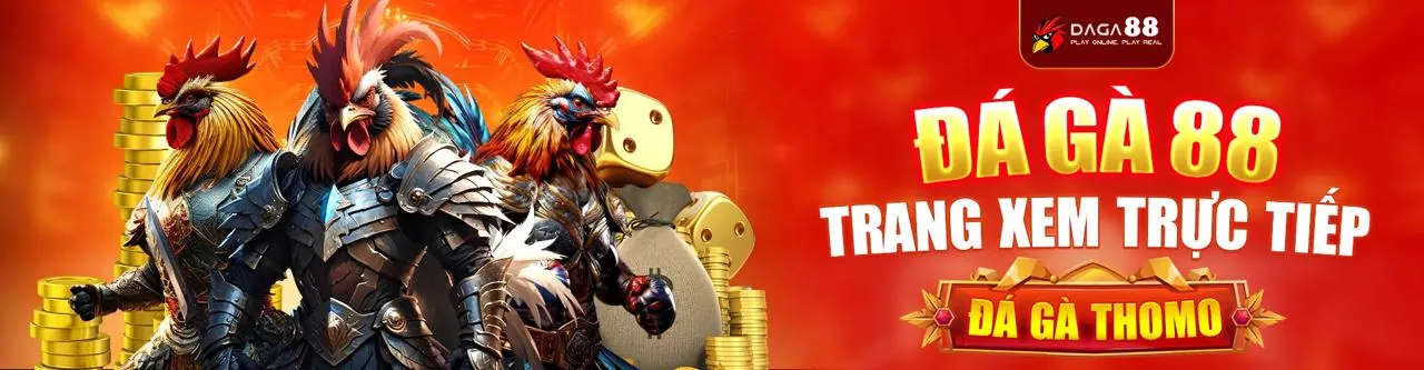 Sân đá gà trực tuyến sôi động tại socvip trang chủ chính thức