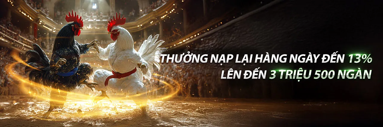 Hình ảnh chính giới thiệu về Socvip trang chủ chính thức